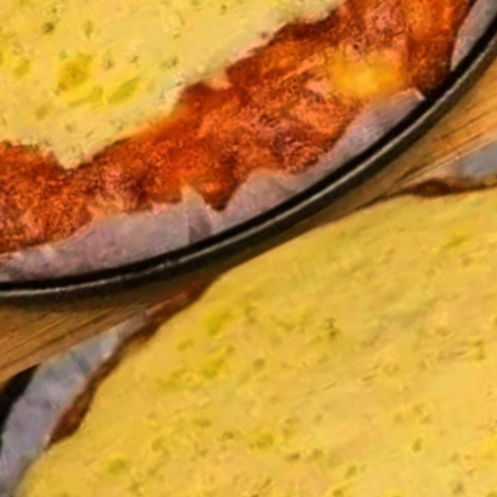 Cake made with sour cream and cornbread Meals Recipes